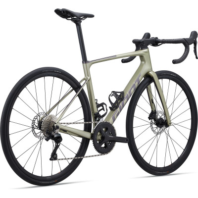 Giant Defy Advanced 2 Bay Leaf 2024