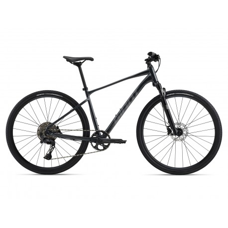 Giant Roam 1 2025