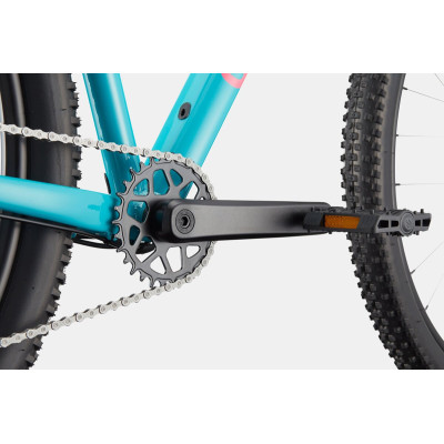 CANNONDALE TRAIL 2 IBL 27,5/29 2025 CANNONDALE TRAIL 2 IBL 27,5/29 2025